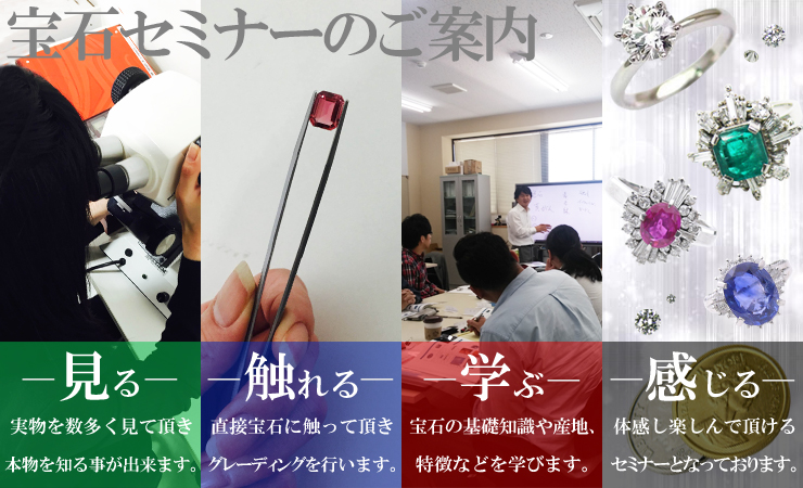 見る 触れる 学ぶ